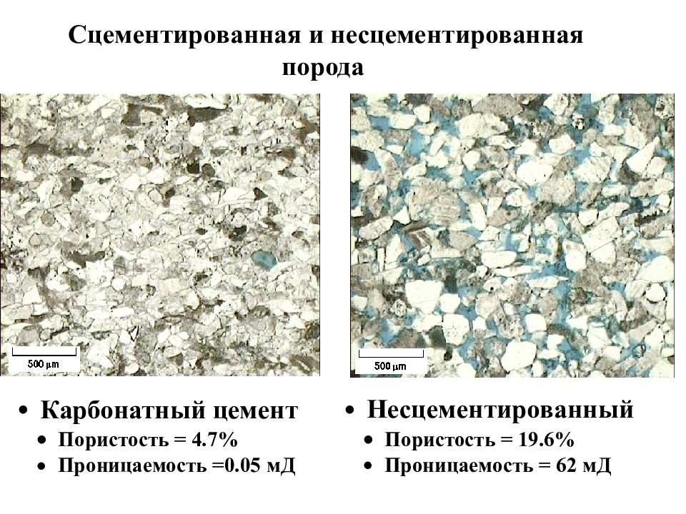 Карбонатные осадочные породы группы организмов. Сцементированные породы. Карбонатный цемент. Сцементированные горные породы. Сцементированные осадочные горные породы.