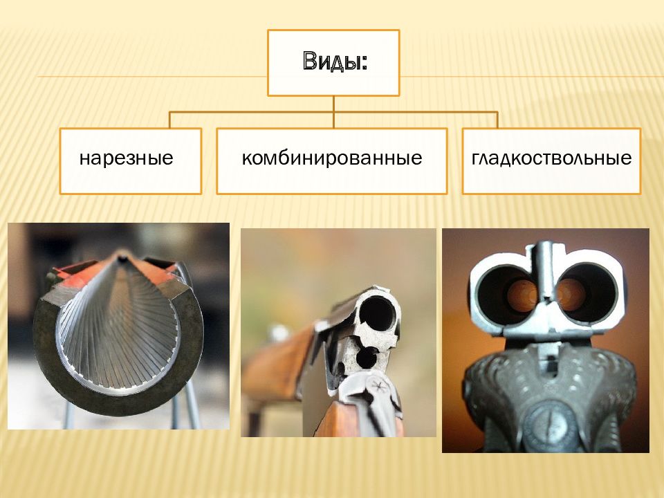 Схема система криминалистического оружиеведения