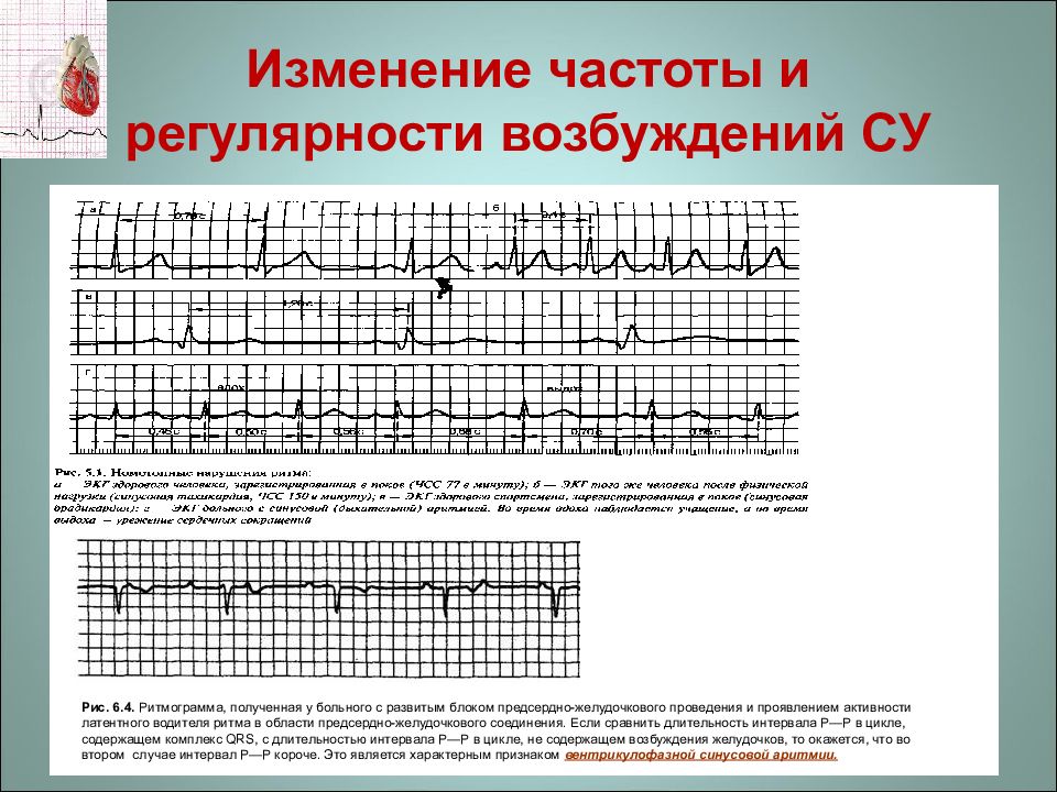 Центр экг