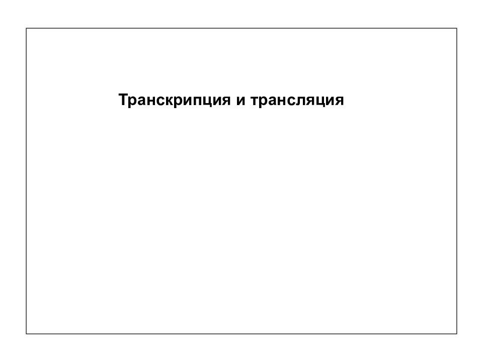 Транскрипция и трансляция