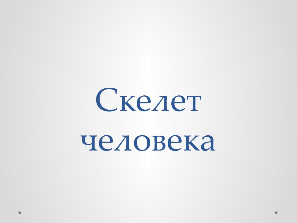 Скелет человека