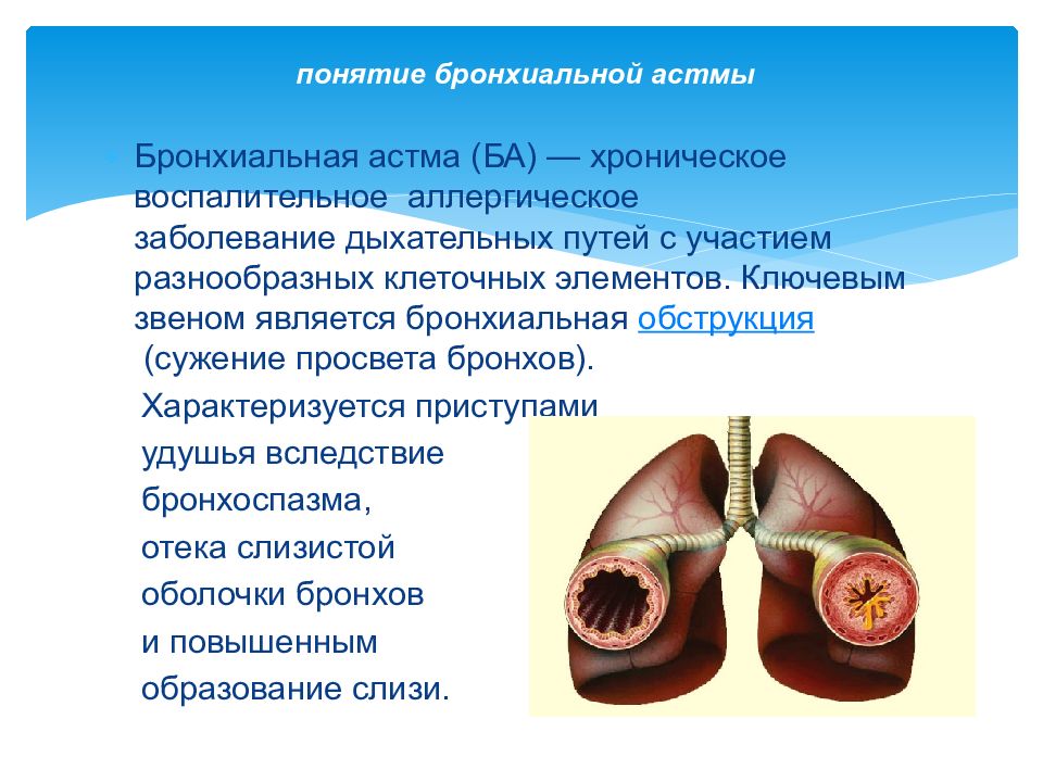 Может ли бронхит. Бронхиальная астма понятие. Бронхиальная астма презентация. Бронхиальная астма бронхи. Легкие при бронхиальной астме.