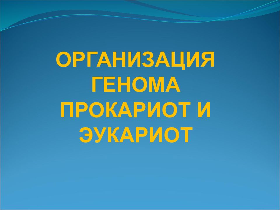 ОРГАНИЗАЦИЯ ГЕНОМА ПРОКАРИОТ И ЭУКАРИОТ