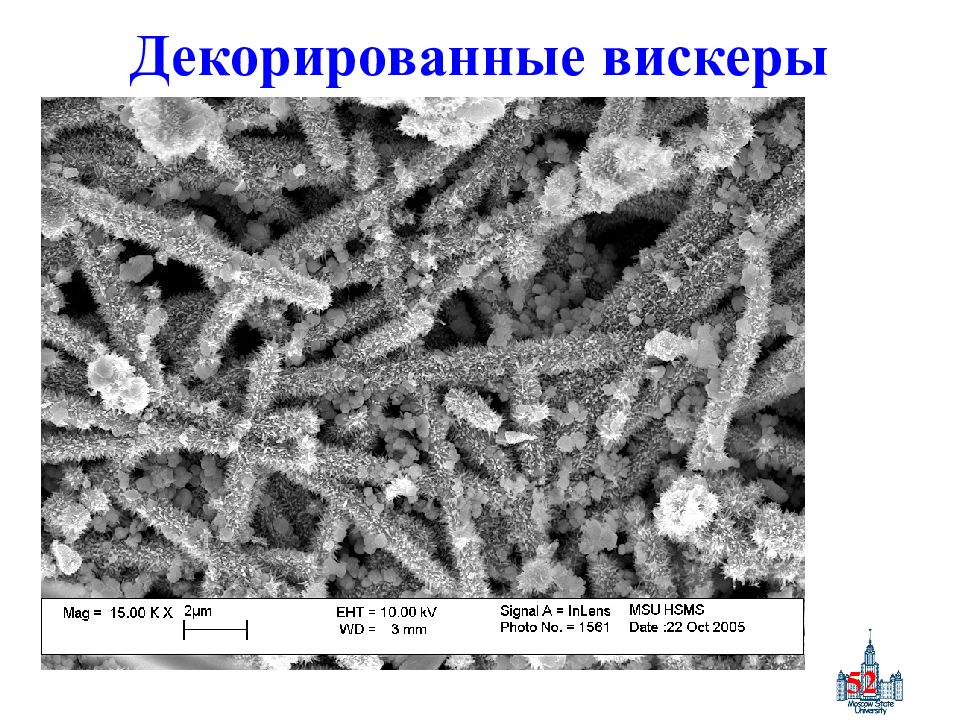 Реальная структура. Вискер Кристалл. Нитевидные Кристаллы. Нитевидные нанокристаллы. Нановискеры.