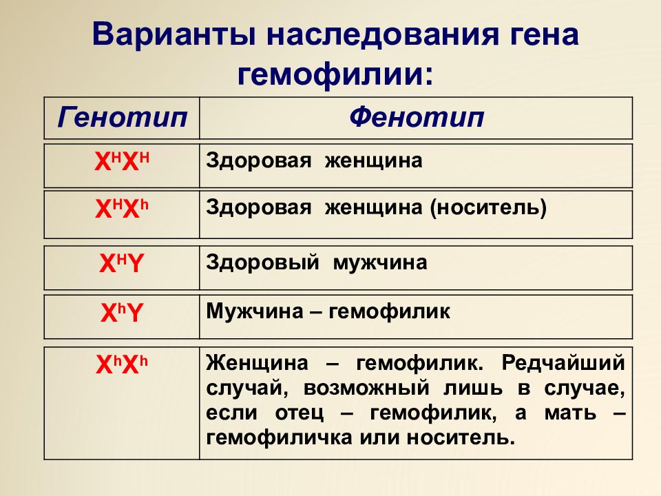 Схема наследования гемофилии у человека