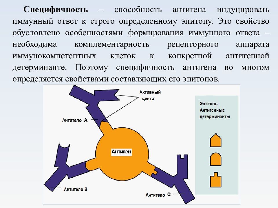 Антигены и антитела микробиология презентация