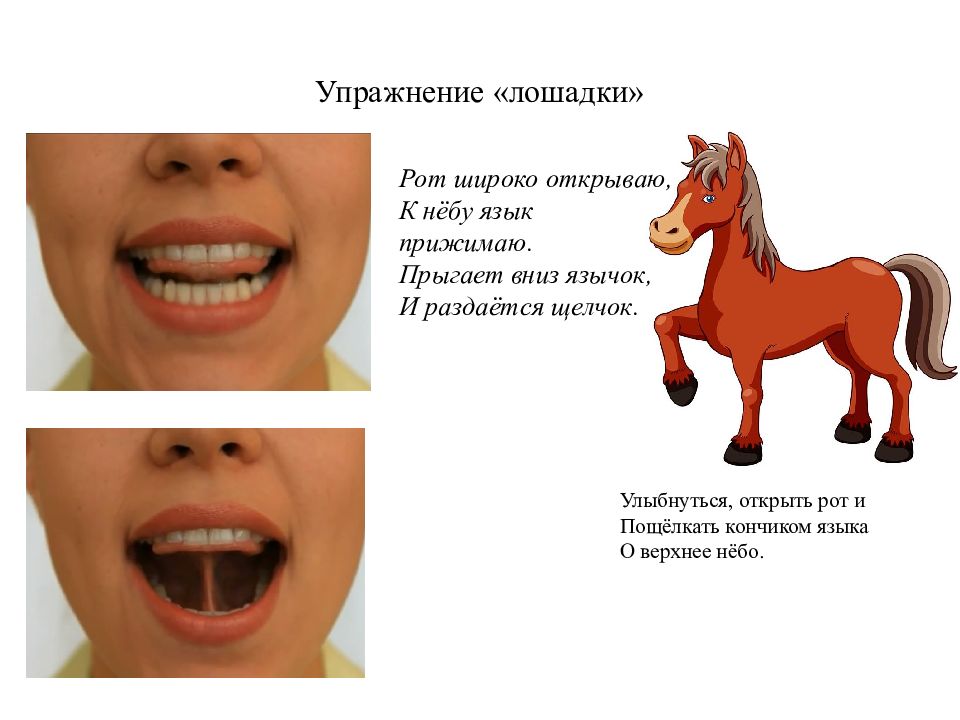 Артикуляционная гимнастика лошадка в картинках