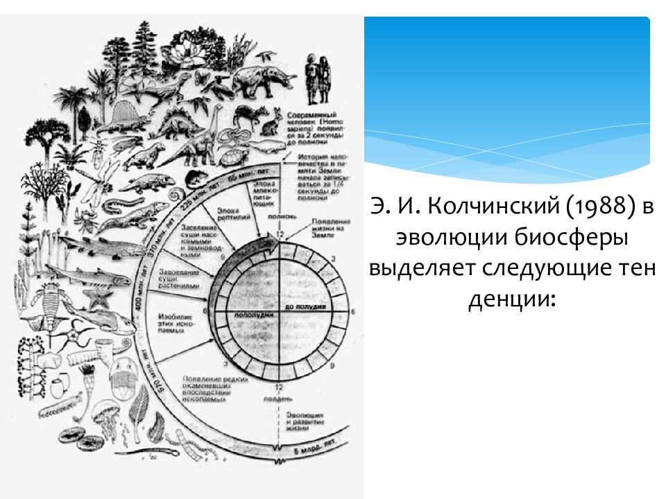 Развитие жизни на земле. Возникновение и развитие жизни на земле схема. История развития земли схема. Схема эволюции жизни на земле. Часы эволюции земли.