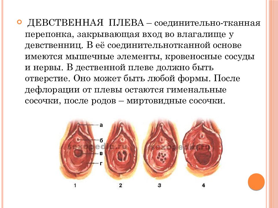 Лишение невинности крупным планом