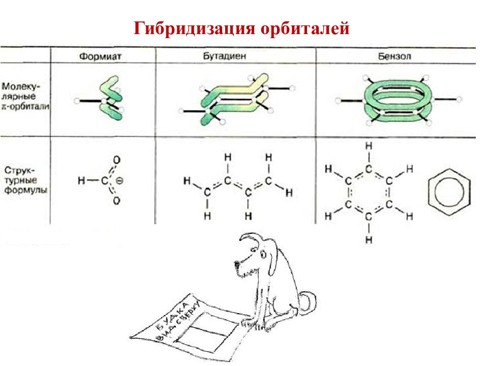 На рисунке показана химическая формула молекулы