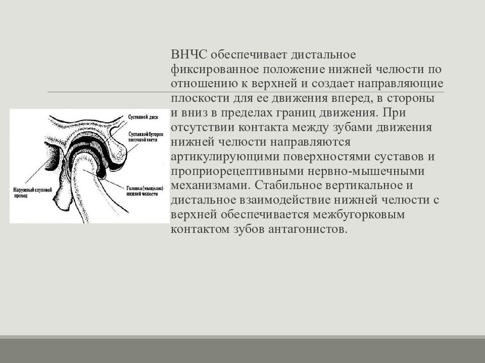 Презентация мрт внчс