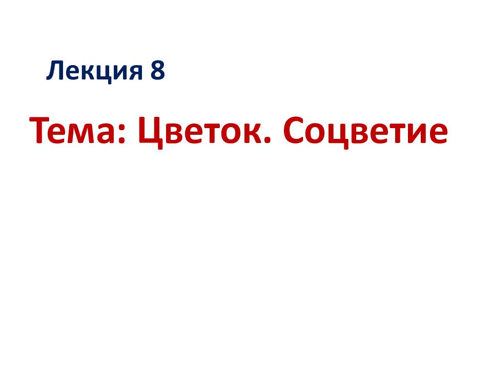 Лекция 8 Тема: Цветок. Соцветие