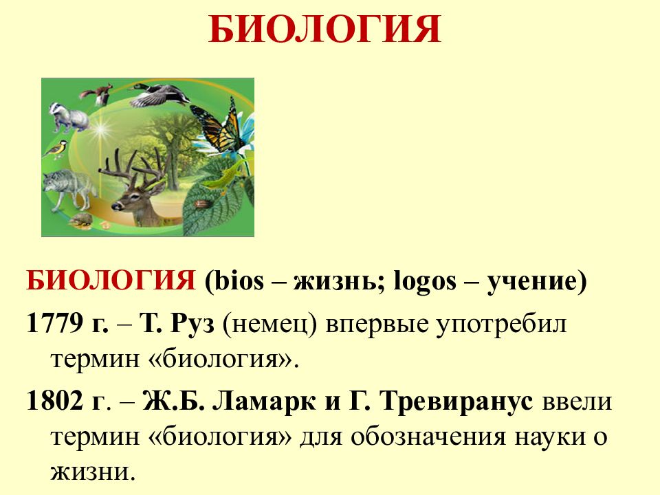 Биология наука о жизни. Жизнь это в биологии. Биология как наука о живом мире. Термины по биологии.