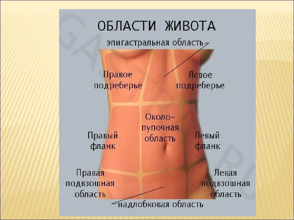 Сильно тянет левый. Болит живот слева. Эпигастральная область живота. Левая область живота. С левой стороны в нижней части живота.