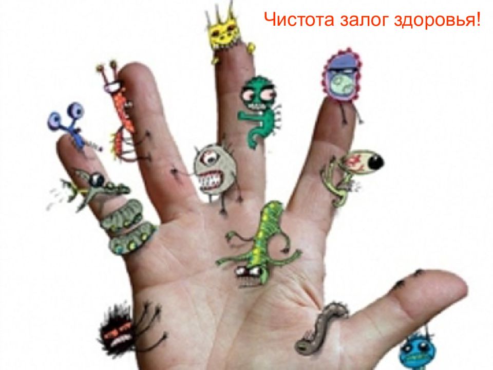 микробы на ручках