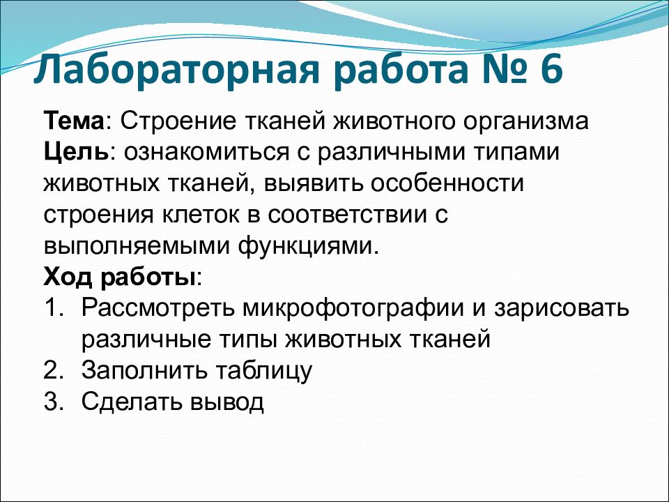 Биология лабораторная работа. Лабораторная работа. Строение животных тканей лабораторная работа. Строение тканей лабораторная работа. Лабораторная работа животная ткани.