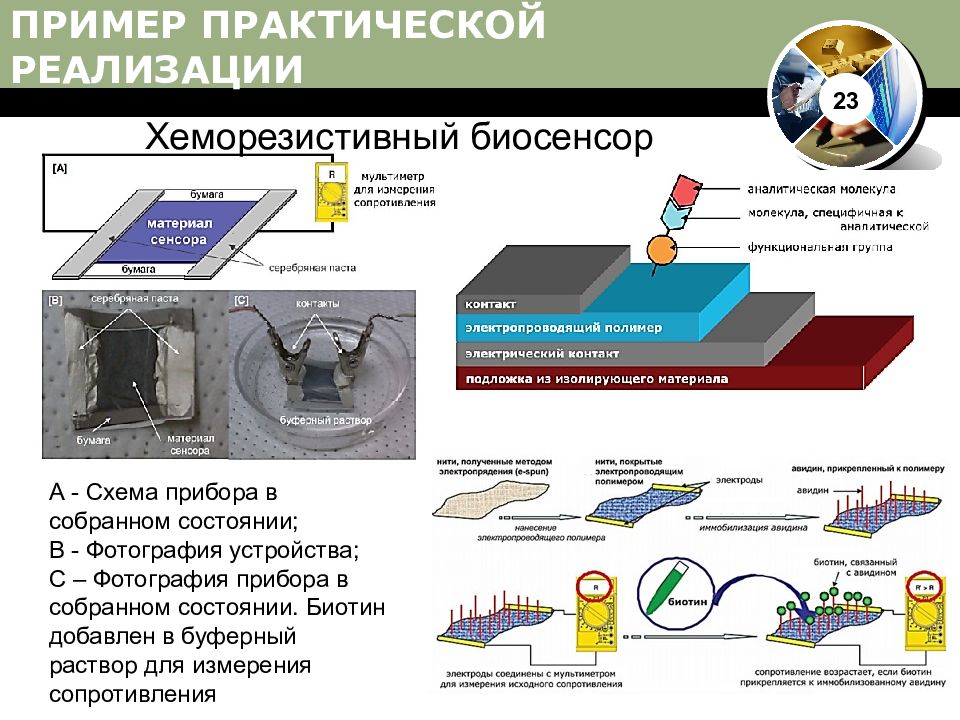 Собрать состояние. Схема биосенсора. Биосенсоры примеры. Люминесцентные Биосенсоры. Схему биосенсорной установки.