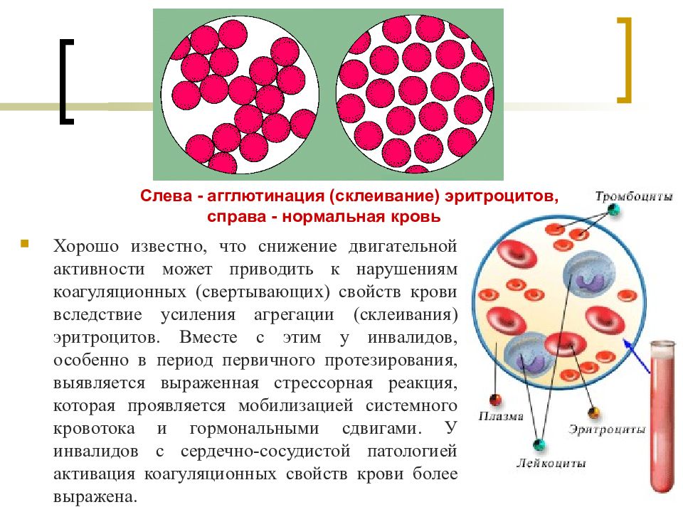 Конгломерация что это