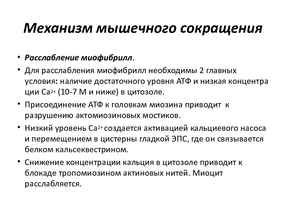 Особенности сокращения скелетной мышечной ткани