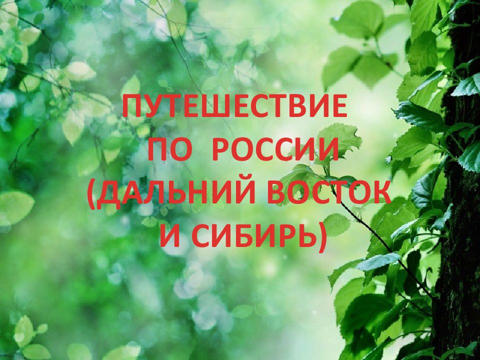 Путешествие по россии дальний восток и сибирь презентация 4 класс