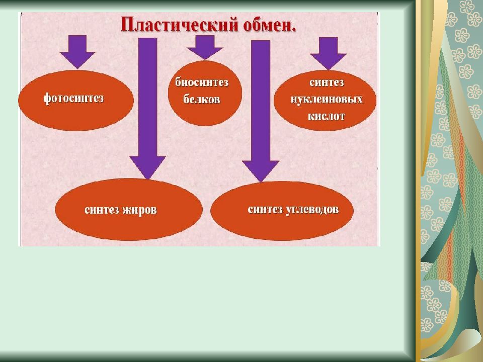 Презентация по теме энергетический обмен