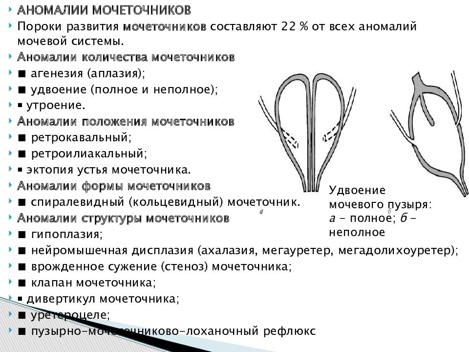 Пороки развития мочевого пузыря и уретры презентация