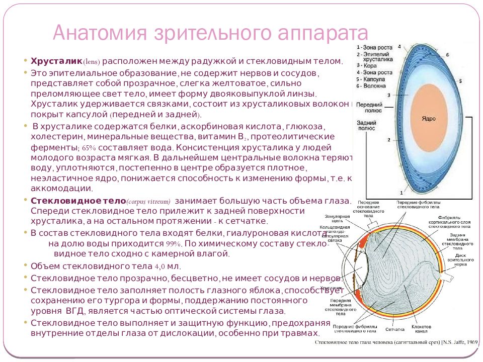 Презентация история офтальмологии