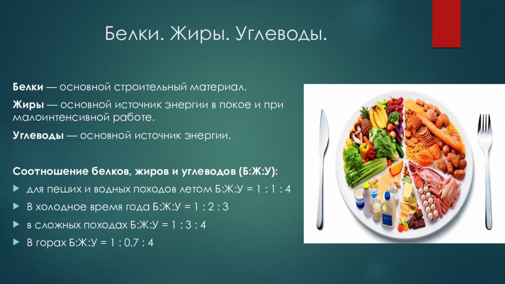 Соотношение белков углеводов. Соотношение белков жиров и углеводов. Основной источник энергии жиры белки углеводы. Белки основной источник энергии. Источники энергии белки углеводы жиры.