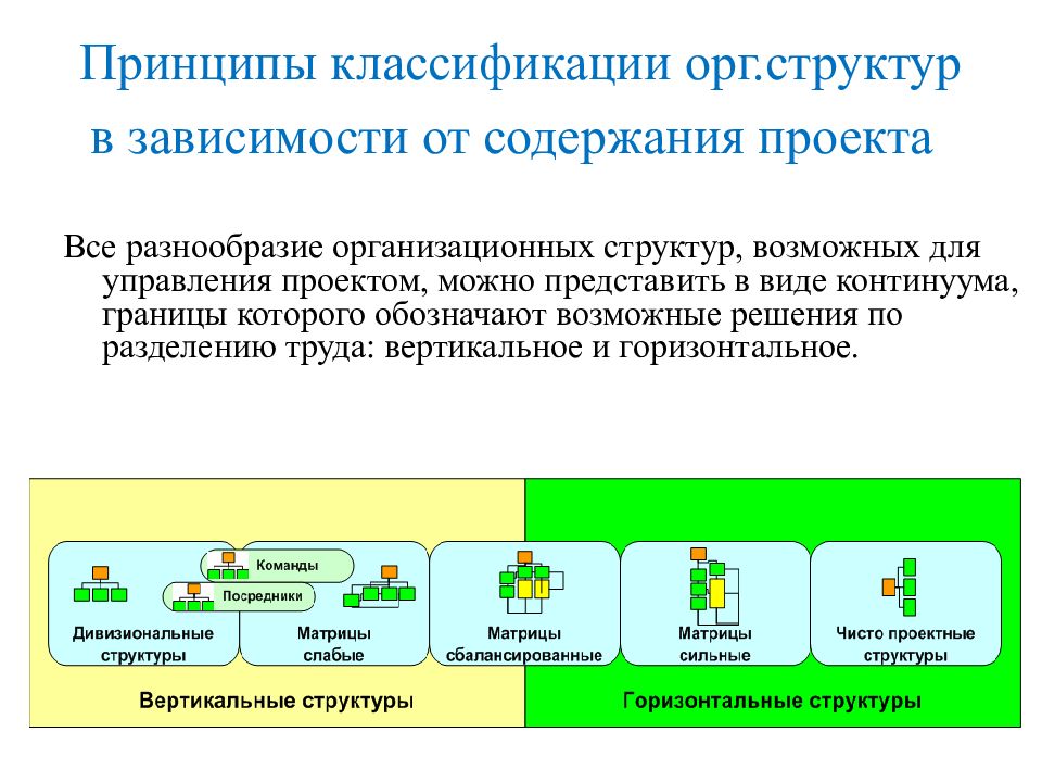 Функциональная организационная структура проекта