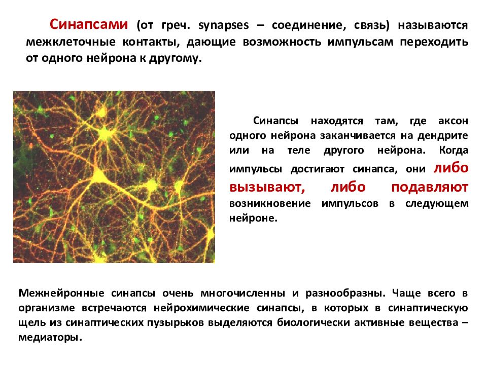 Линией связи называется. Синаптических связей. Нейроны и синаптические связи. Синапс межклеточный контакт. Синаптические связи Аксон.