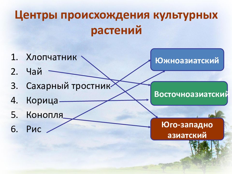 Сахарный тростник центр происхождения