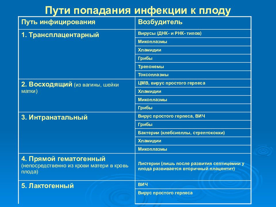 Возбудитель пути. Пути инфицирования плода. Пути передачи внутриутробной инфекции. Восходящий путь заражения плода. Путь заражения от матери к плоду.