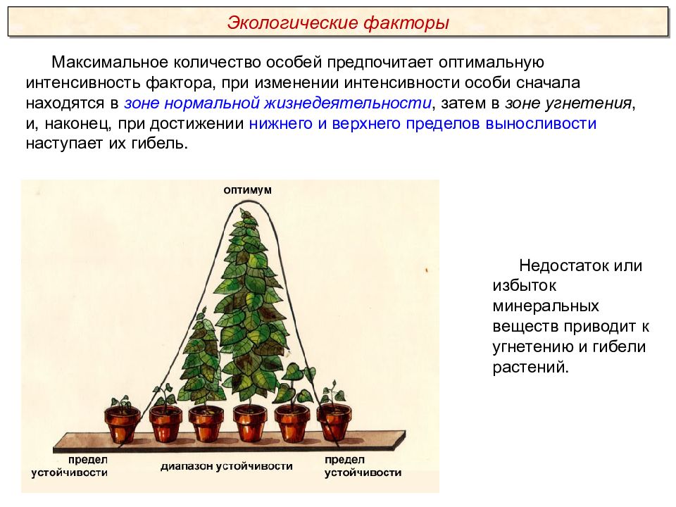 Интенсивность фактора. Экология. Экологические факторы Пименов. Презентации Пименова экологические факторы. Пименов экология презентации. Экологические факторы Пименов.