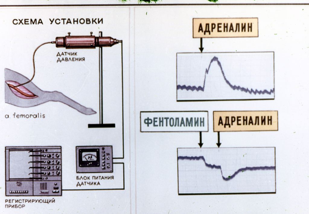 Установить адреналин. Блок адреналин.