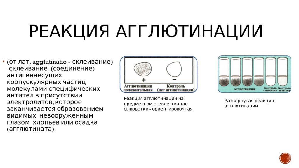 Реакция агглютинации микробиология презентация