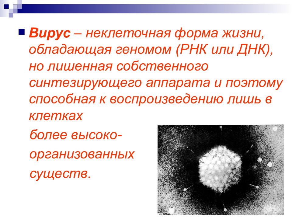 Вирусы неклеточные формы жизни проект