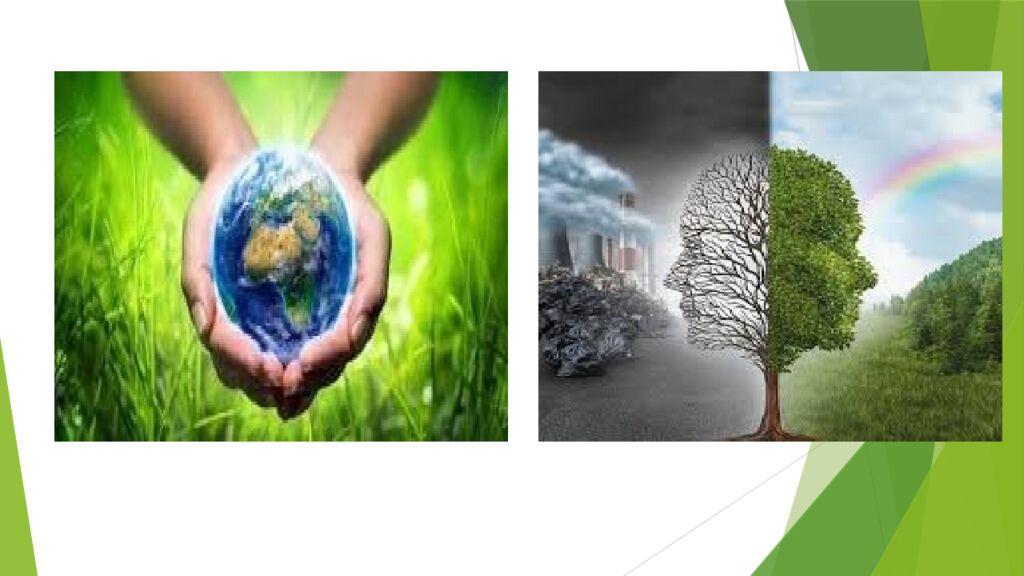 Tabiat bilan tanishtirish orqali maktabgacha yoshdagi bolalarda ekologik