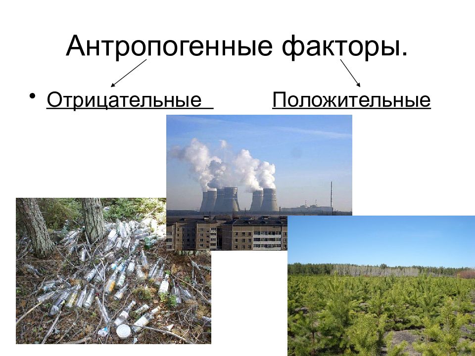 Положительные отрицательные факторы. Антропогенные факторы. Антропогенные факторы окружающей среды. Антропогенные экологические факторы. Антропогенные факторы воздействия на природу.