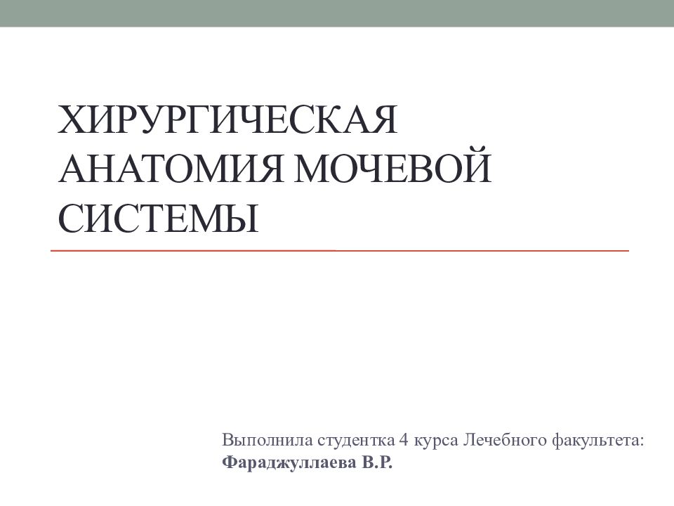 ХИРУРГИЧЕСКАЯ АНАТОМИЯ МОЧЕВОЙ СИСТЕМЫ