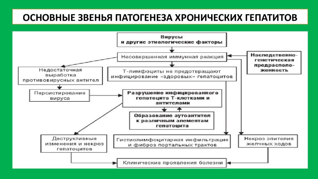 Патогенез гепатита б схема