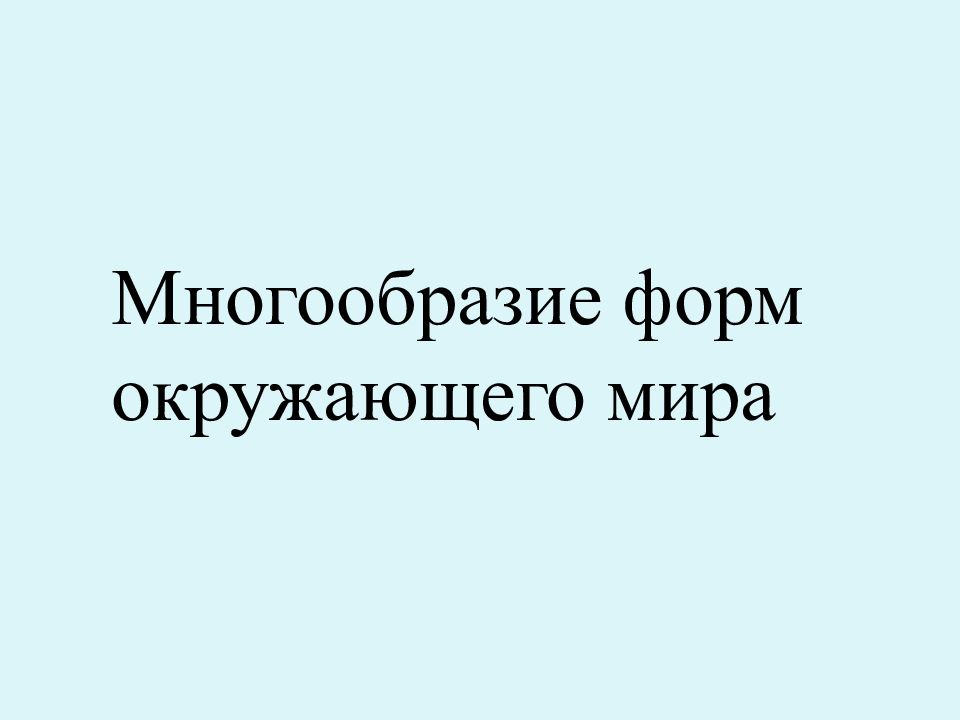 Многообразие форм окружающего мира