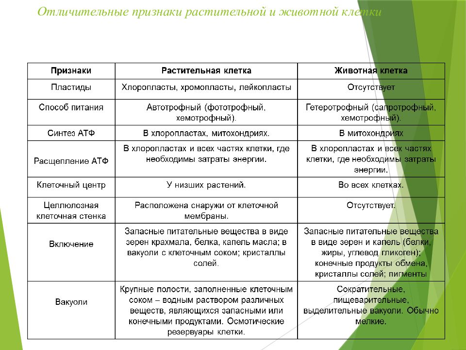 Характерные признаки клеток. Различия строения клетки животных и клетки растений. Способ питания растительной клетки и животной клетки. Различия в строении растительной и животной клетки таблица. Способ питания клеток растений и животных.