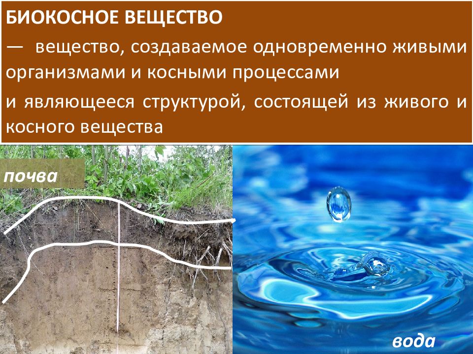 Роль воды в биосфере естествознание 10 класс презентация