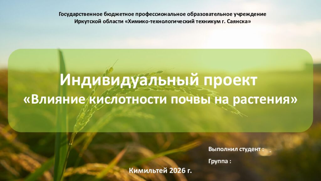 Государственное бюджетное профессиональное образовательное учреждение Иркутской