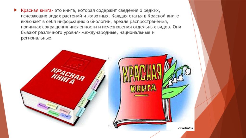 Проект возьмем под защиту или красная. Красная книга это книга которая содержит. Красная книга это книга которая содержит сведения о. Под защитой красной книги. Проект красная книга или возьмем под защиту.