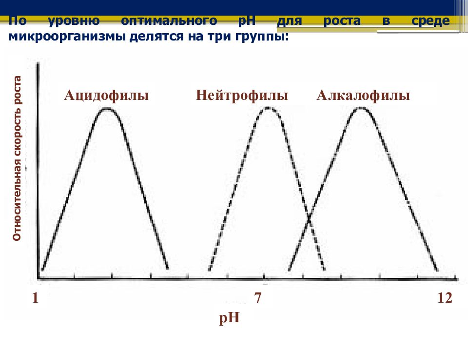 Оптимальная степень. Физиология роста микроорганизмов. Оптимальная РН среды для бактерий. Оптимальный PH для роста бактерий. Антарктические микроорганизмы оптимальный рост.