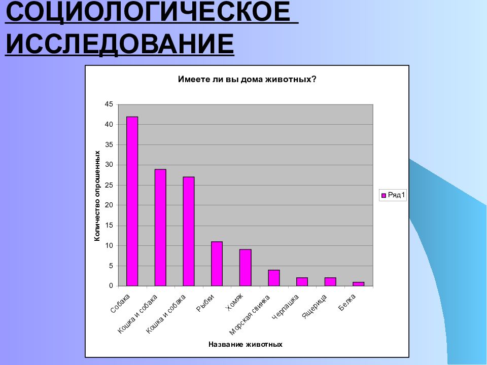 Влияние домашних животных на человека презентация