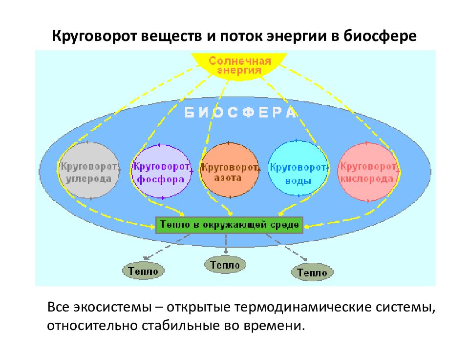 Химические элементы в оболочках земли и молекулах живых систем презентация