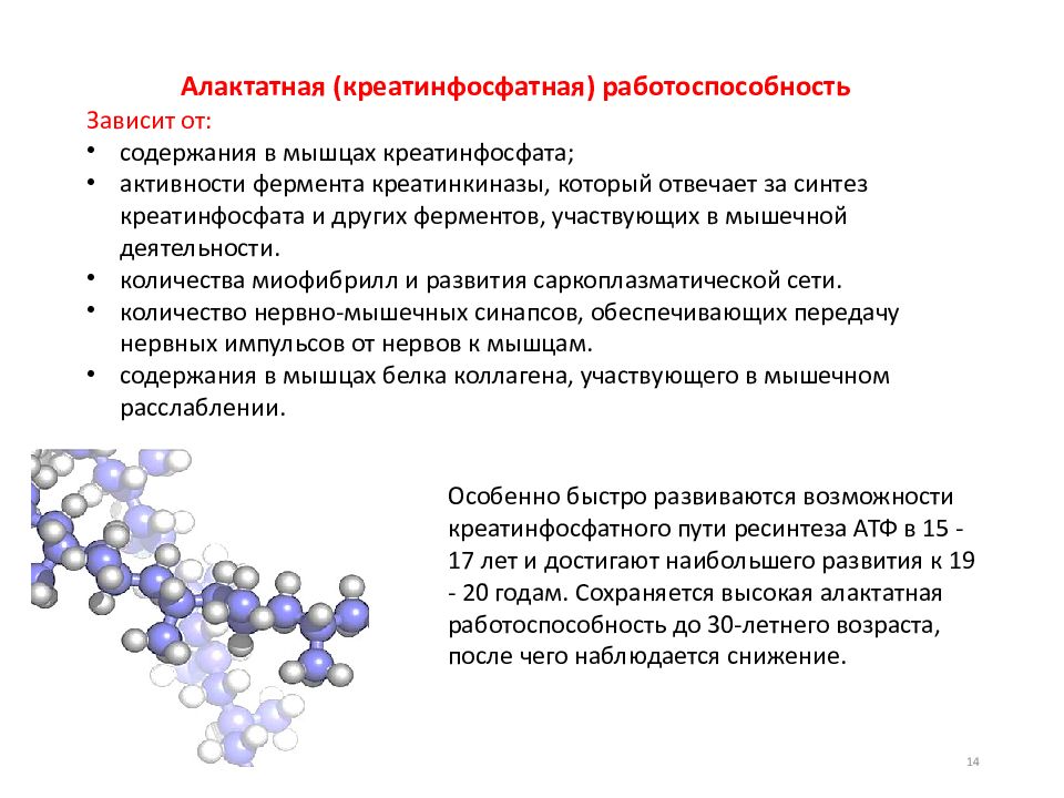 Основы спортивной тренировки презентация