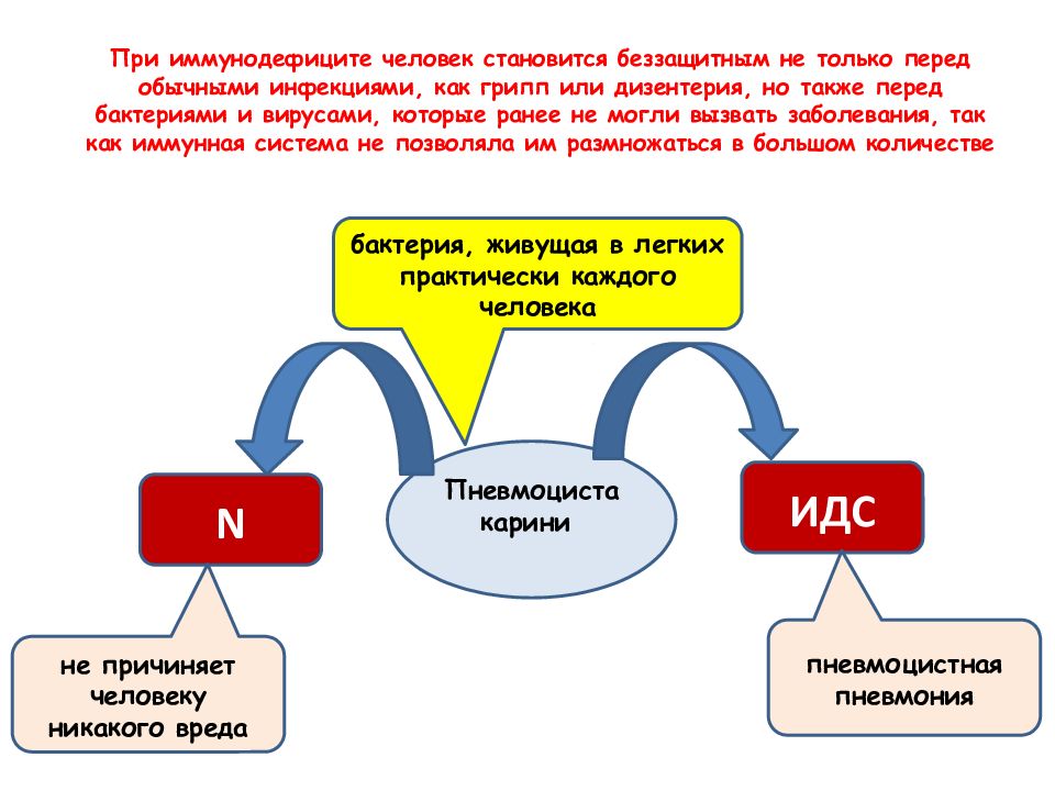 Вторичные иммунодефициты презентация